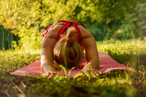 Yoga in Lewis Park @ Lewis Park | Warwick | New York | United States