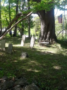 Warwick Cemetery Cleanup @ Warwick Historical Cemetery | New York | United States