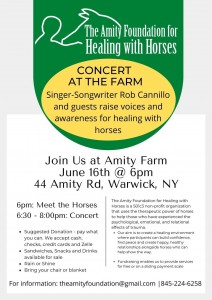 Amity Foundation for Healing with Horses