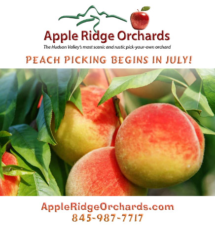 Peaches  Peters Orchards